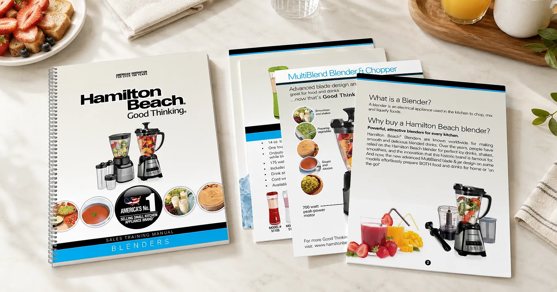 Hamilton Beach blenders sales training manual — appliances, India