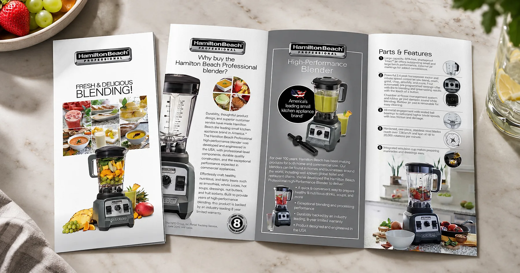 Hamilton Beach professional blender brochure — appliances, India