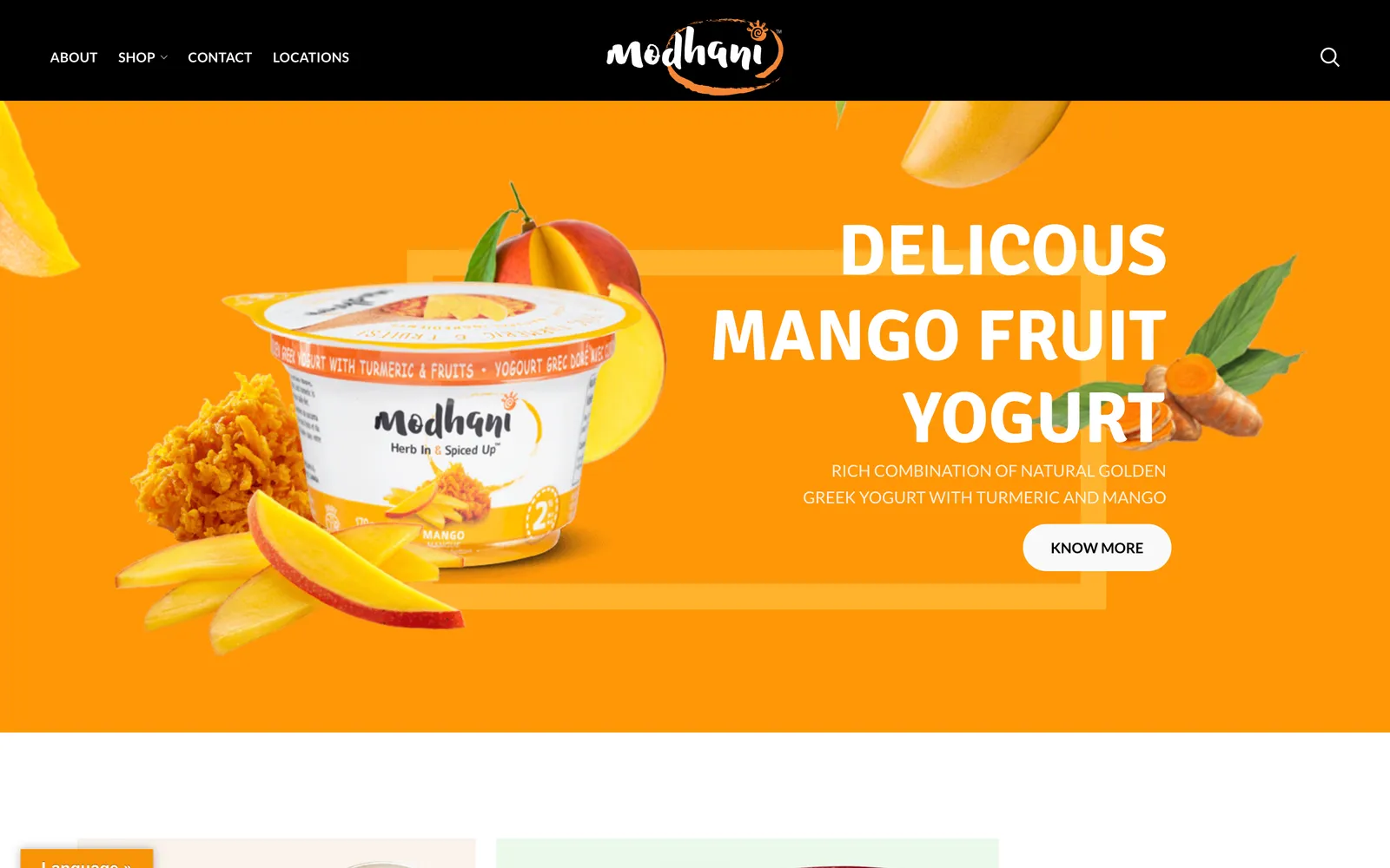 Modhani website design and development