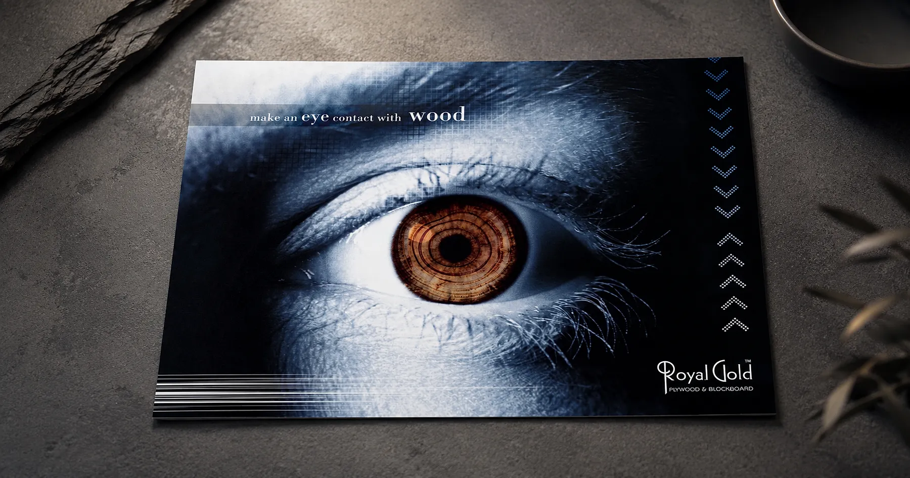 Royal Gold Plywood brochure cover design