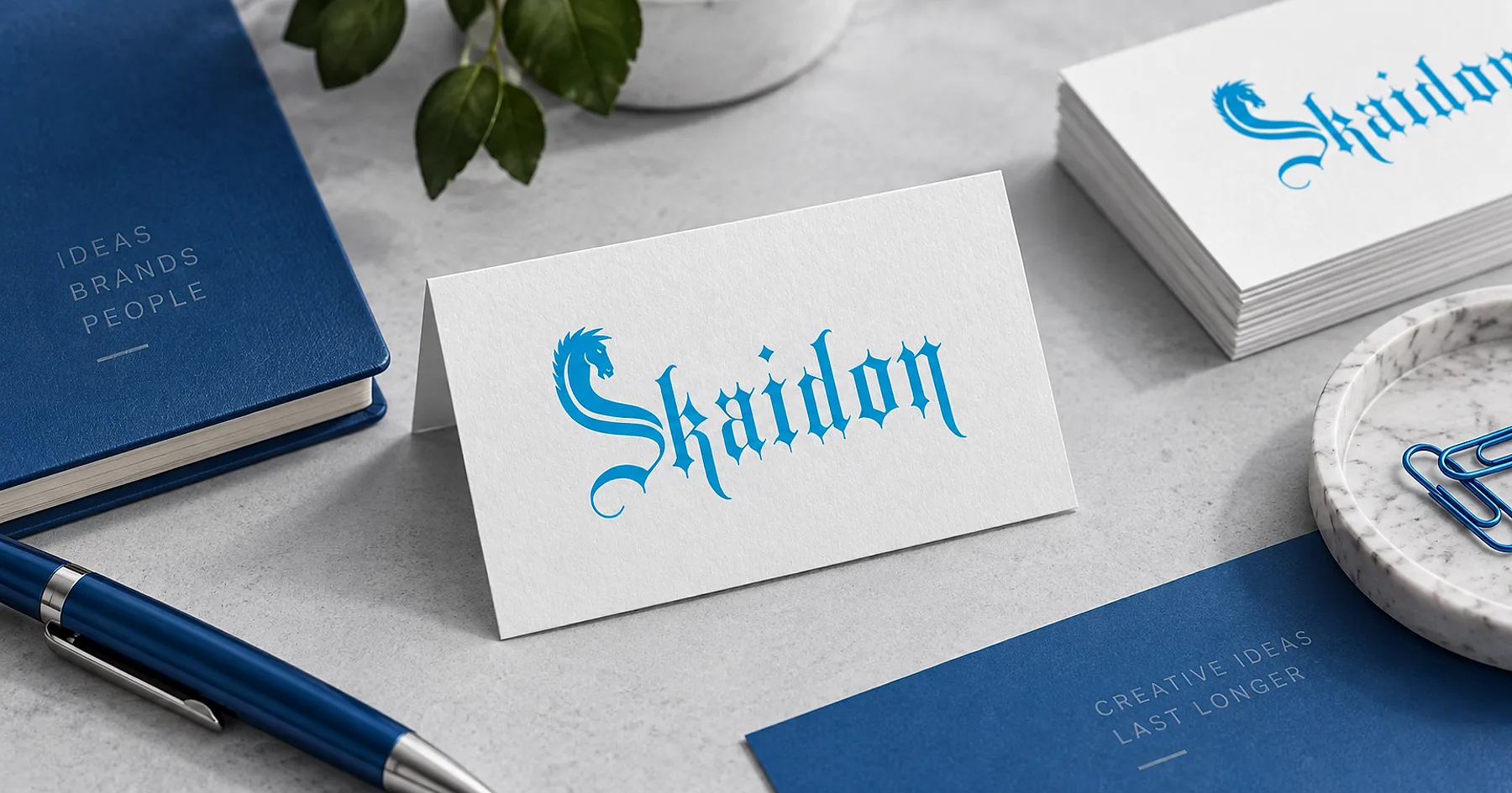 Skaidon brand identity design — hospitality & food service, India